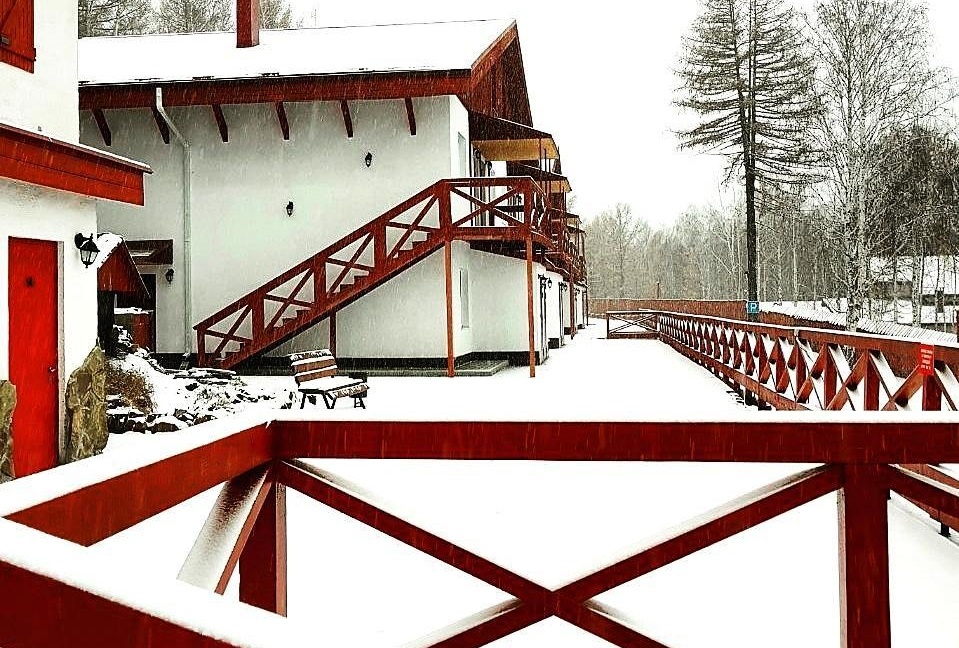 Фото 33 Медведя