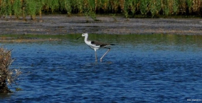 Фото B&b Maricentro