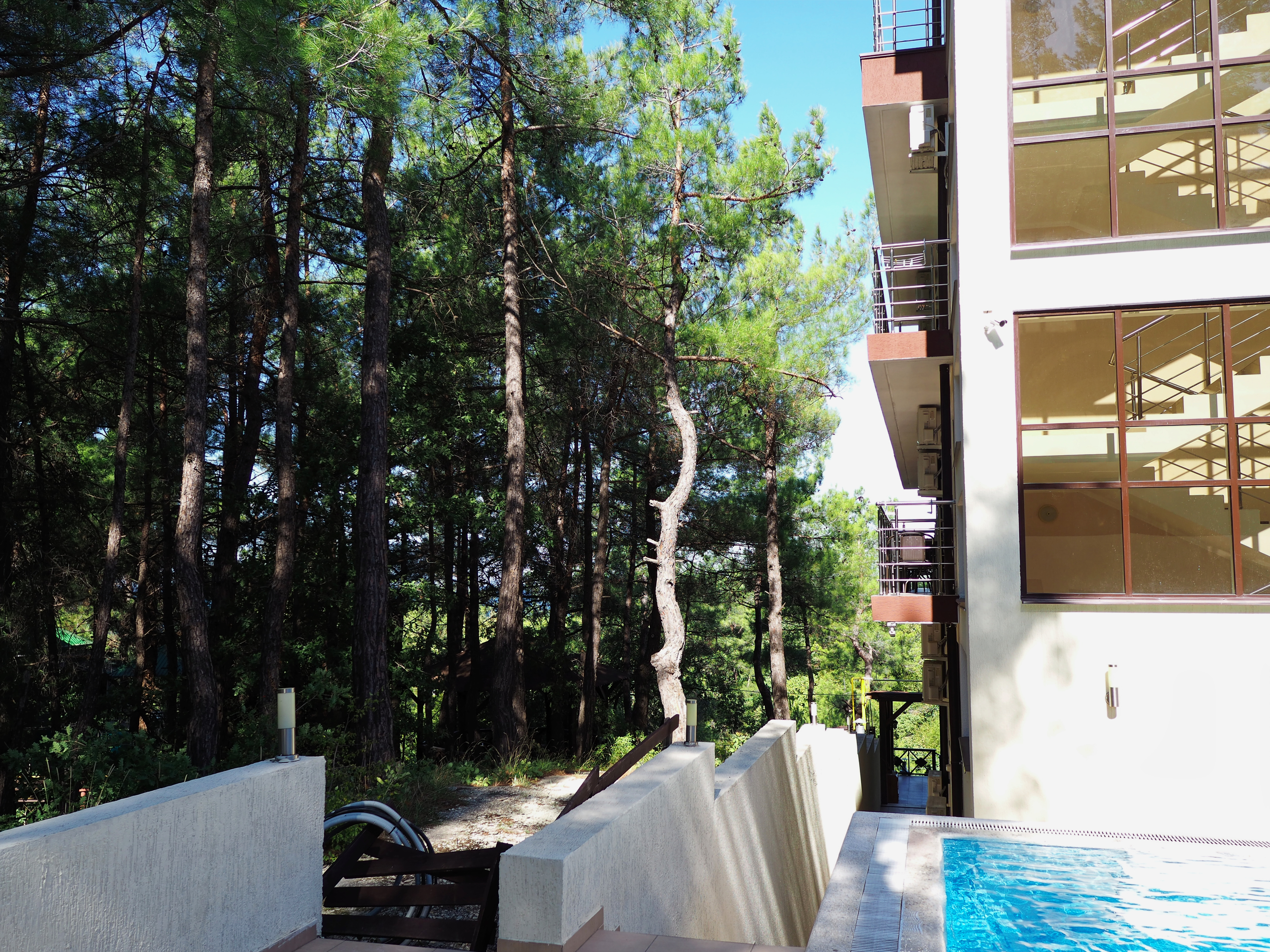 Фото Каметон