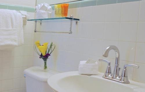 Фото Avalon Hotel