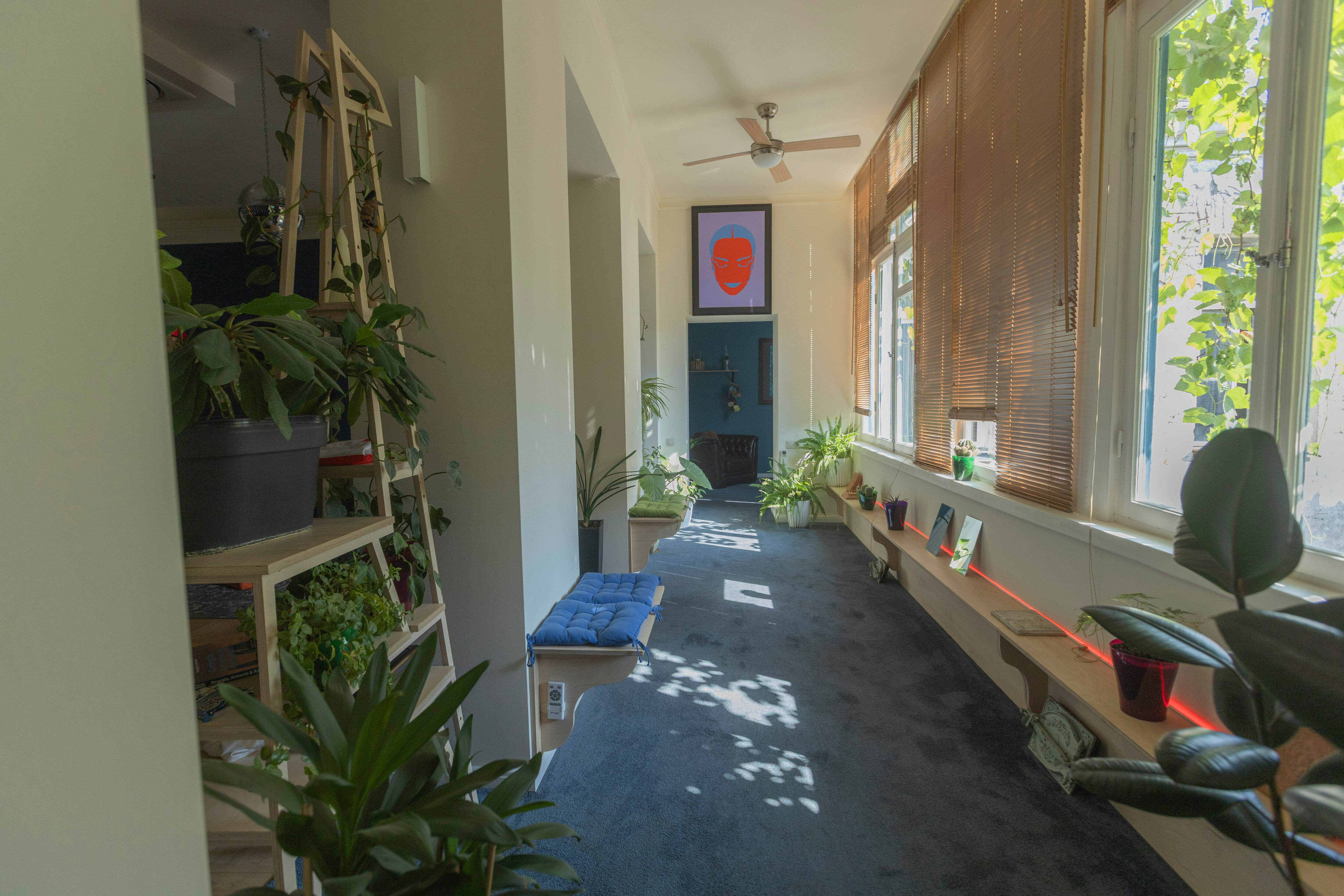 Фото 119344710602