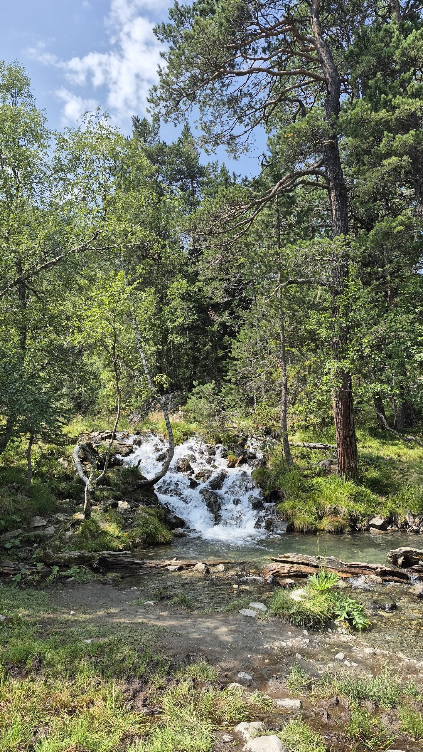 Фото Аризона Архыз