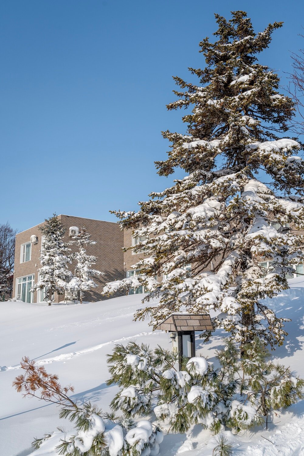 Фото Парк отель Паллада