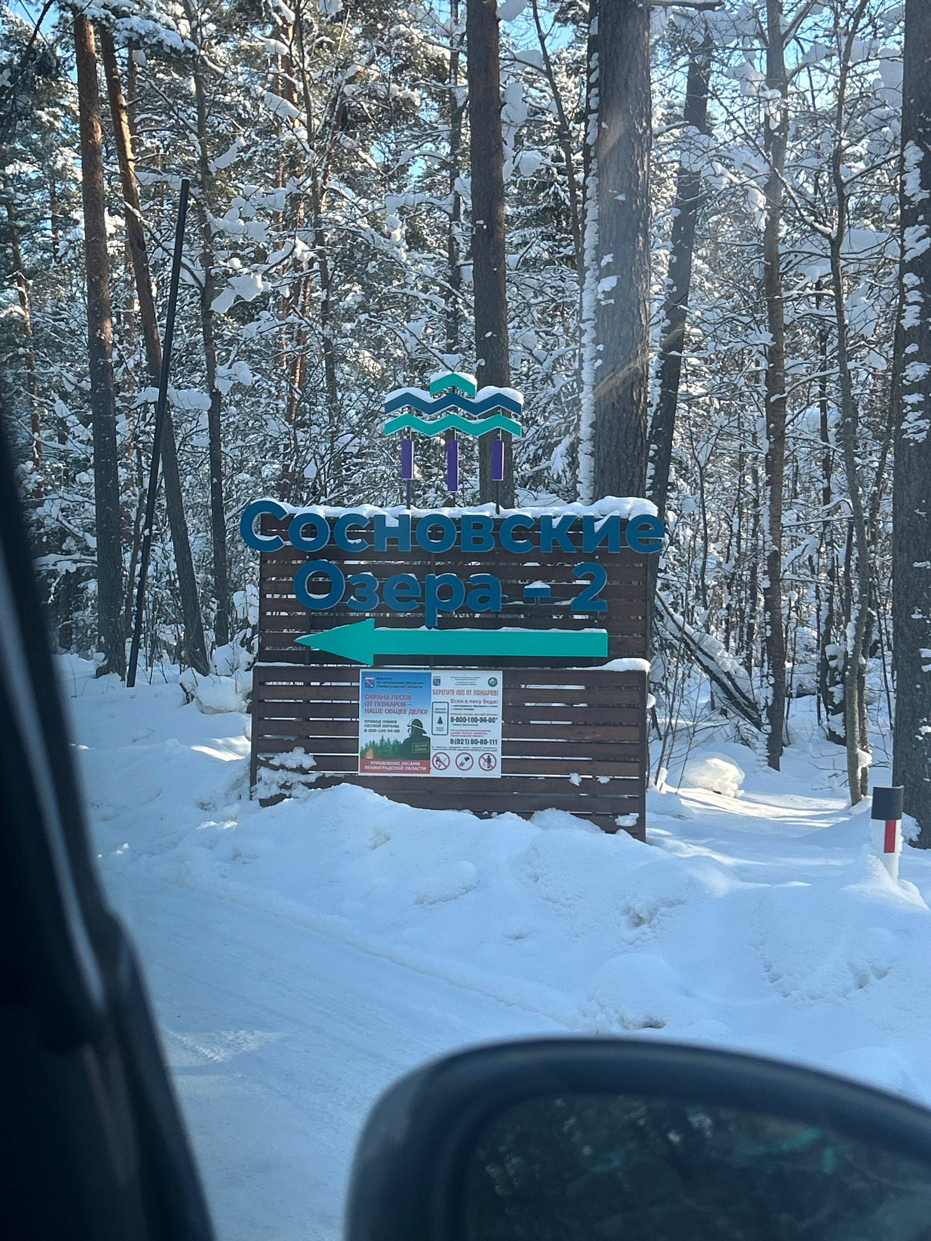 Фото Топи