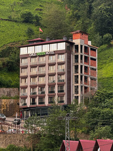 Гостиница Oris Green Hotel