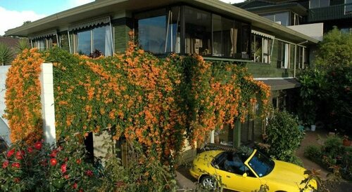 Гостиница Nautical Nook Bed & Breakfast в Окленде