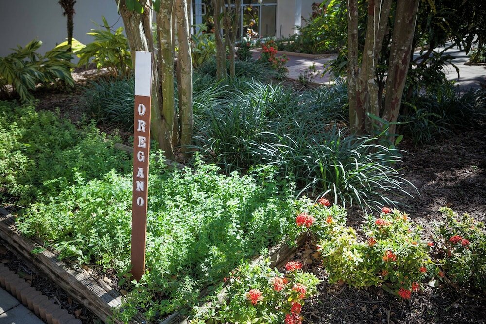 Фото West Palm Beach Marriott