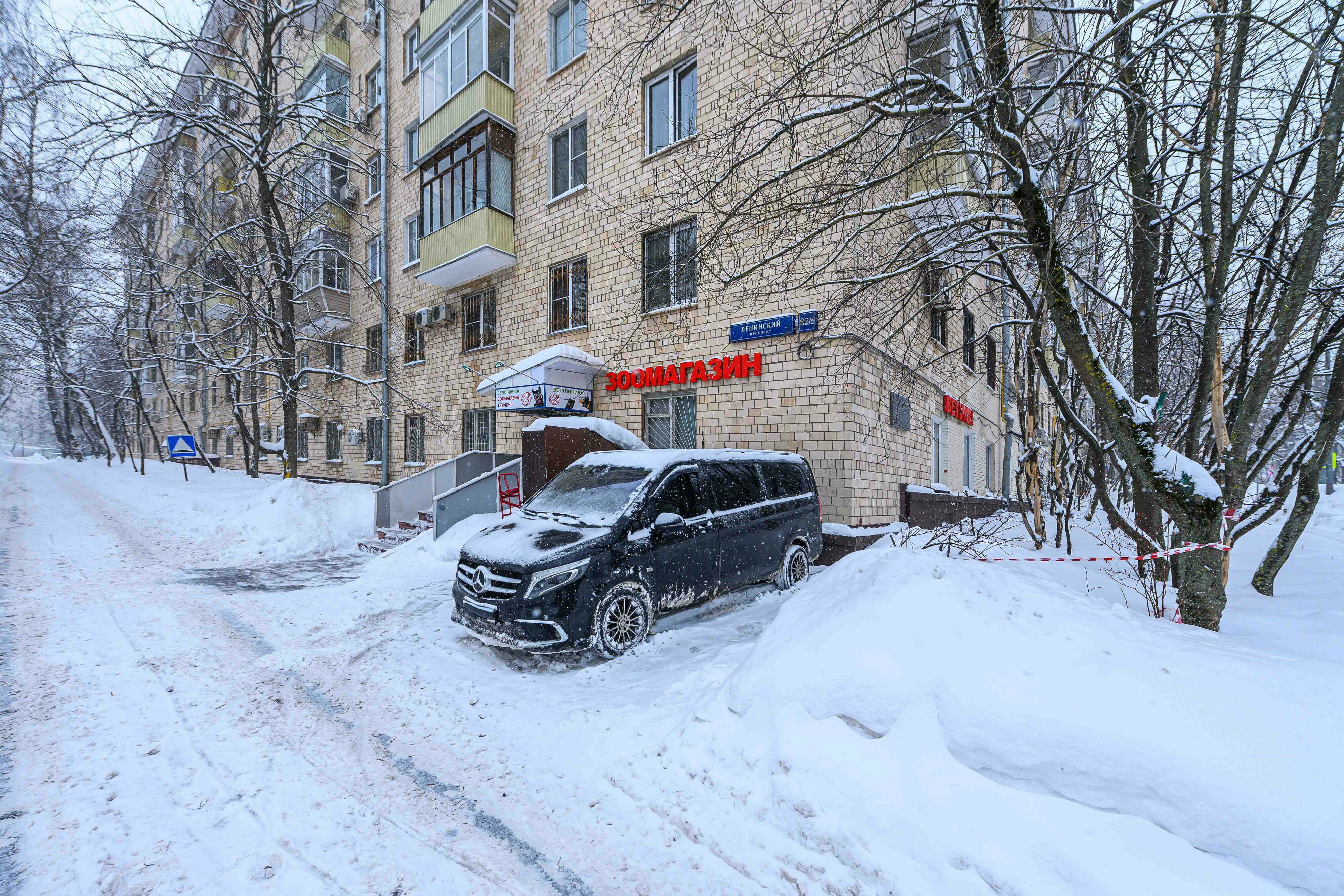 Манол - фото 13