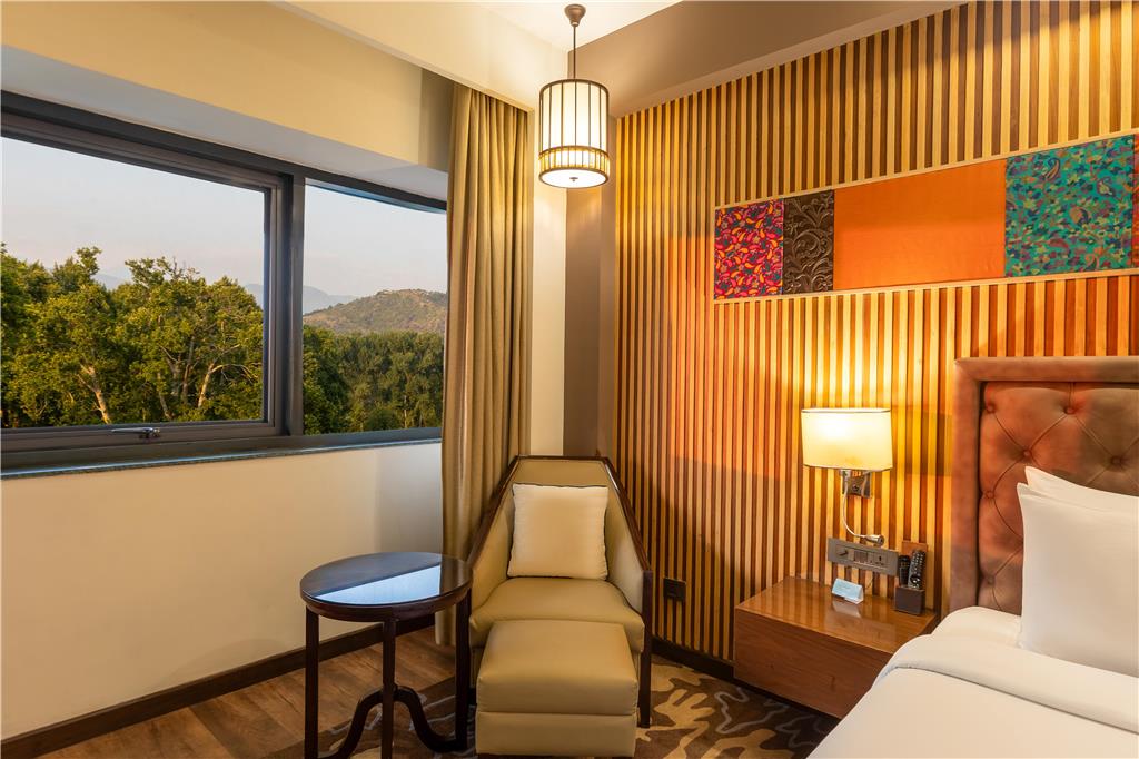 Фото Radisson Srinagar