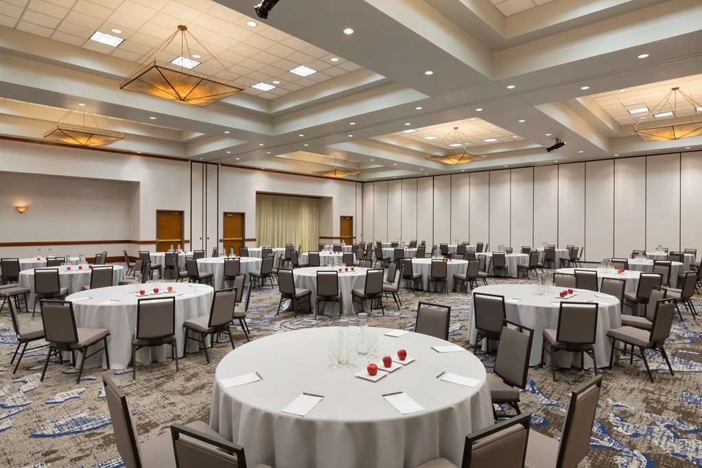 Фото Embassy Suites by Hilton Dallas Dfw Airport North