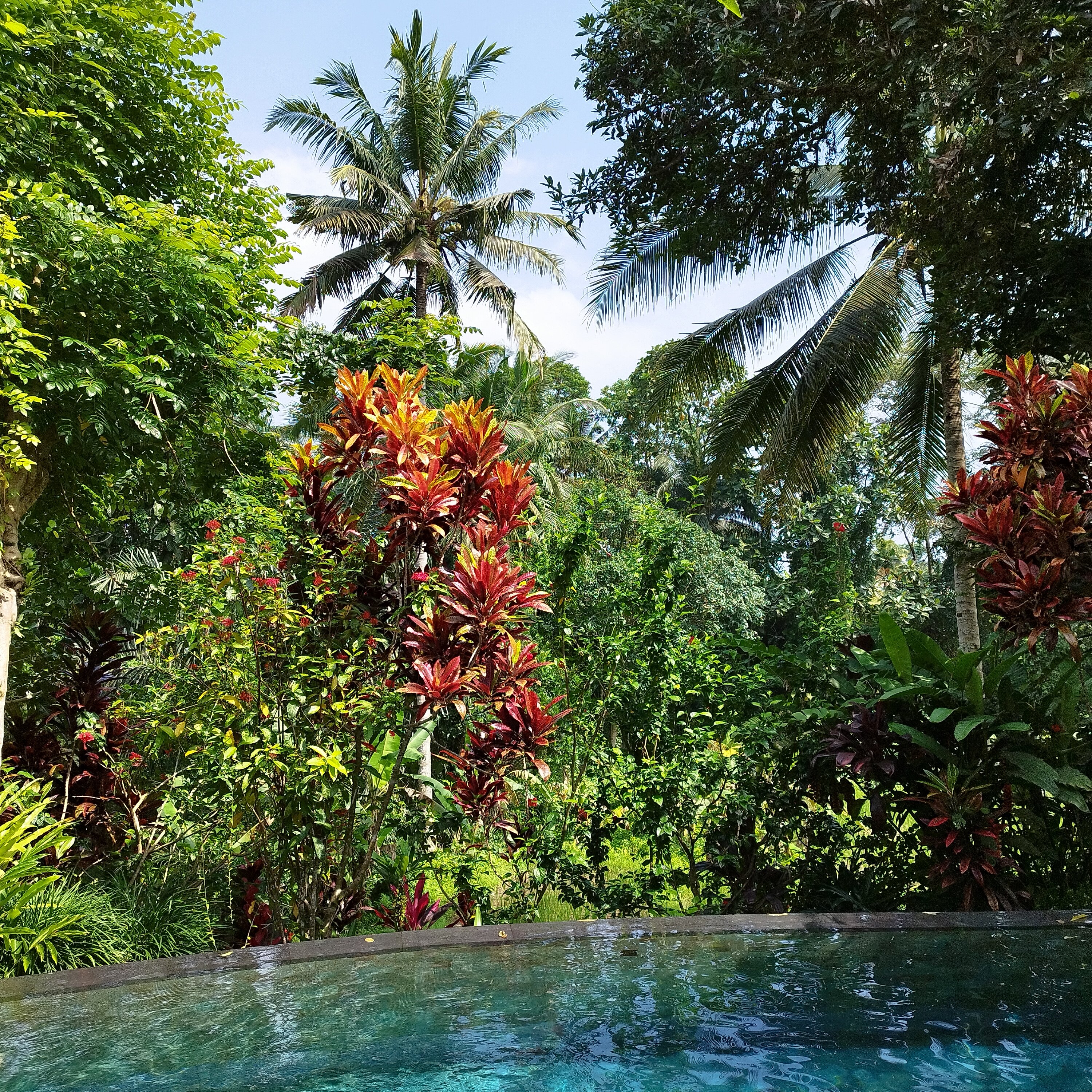 Фото Dwaraka The Royal Villas