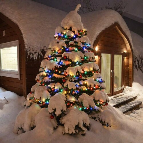 Иное жильё Берта в Красногорске