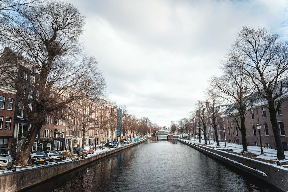 Фото Pillows Anna van den Vondel