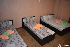 Фото Дубрава