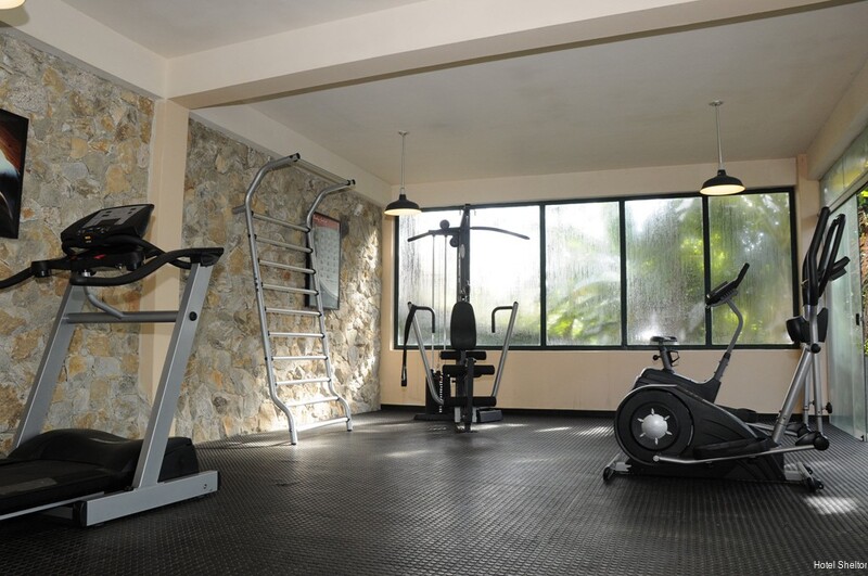 Фото Shelton Hotel