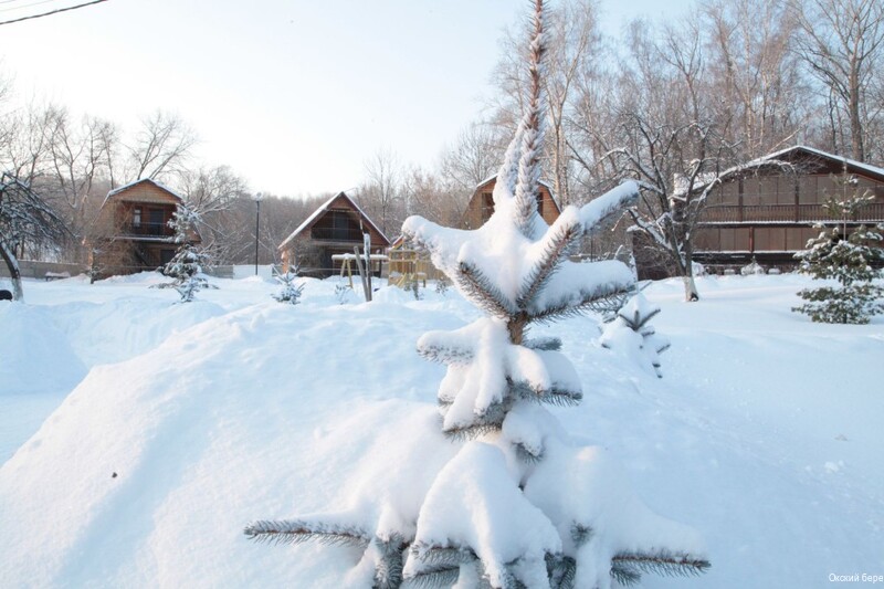 Фото Окский берег