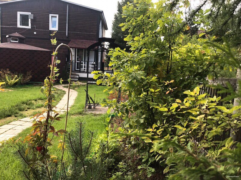 Фото Викинг