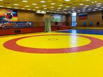 МУ Спортивная школа олимпийского резерва № 17 (Pavlova Street, 2), sports school