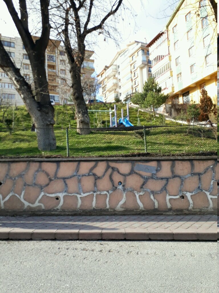 Urban forest Cakabey Afforestation Area, Ankara, photo