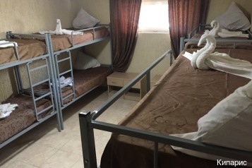 Фото Кипарис