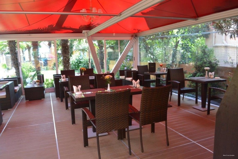 Фото Дельфин