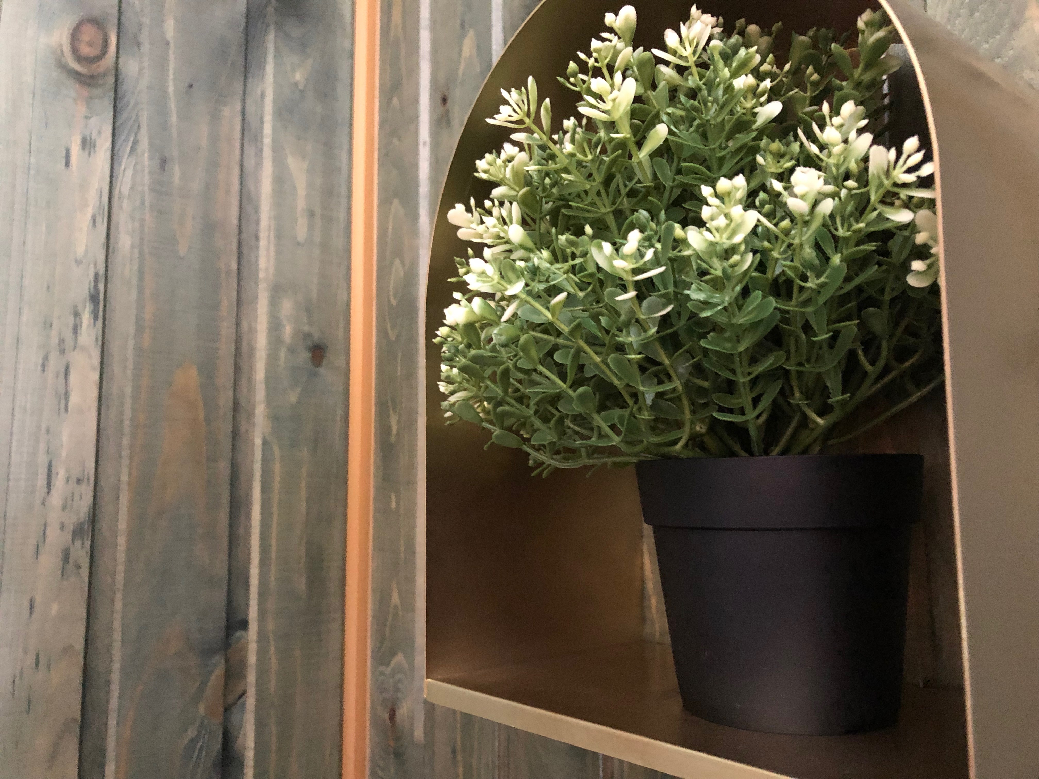 Фото Каприз