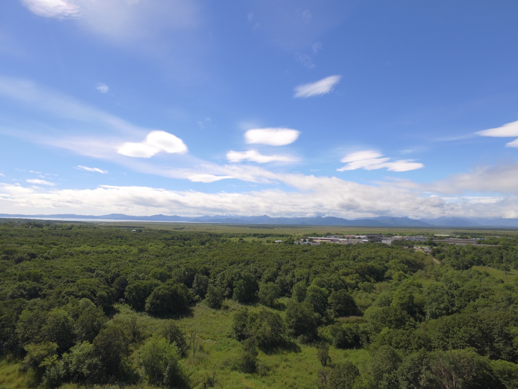 Фото Аврора