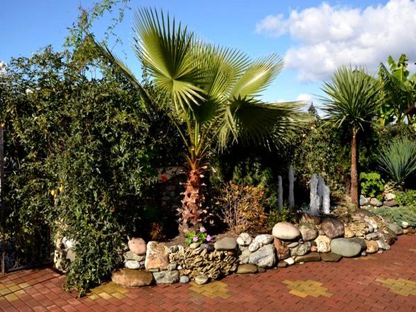 Фото Страна магнолий