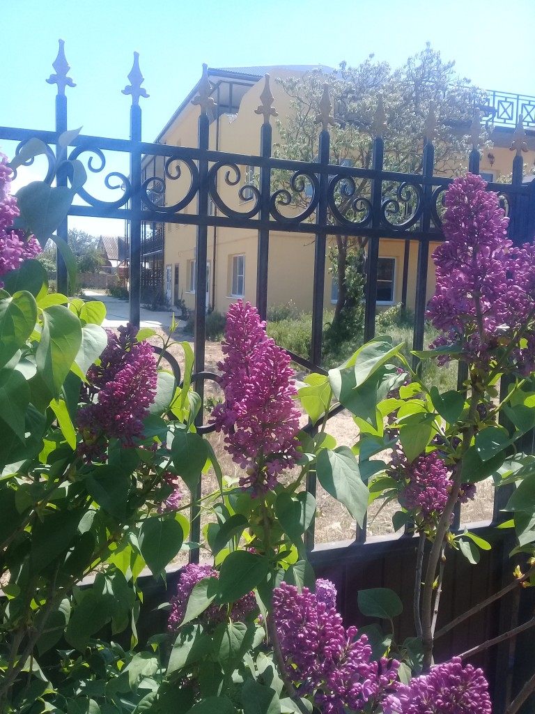 Фото Добрый Бобр