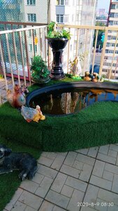 Гостиница Апартаменты с террасой