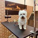 Salon Germi (Naberezhnaya ulitsa, 2А) ، صالون حيوانات أليفة