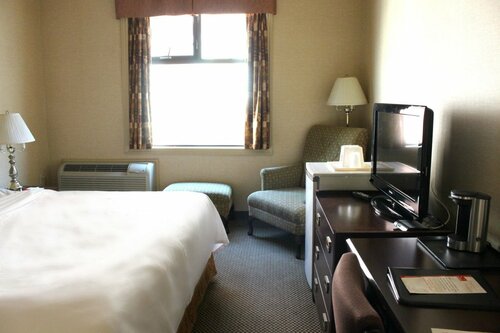 Гостиница Econo Lodge City Centre в Кингстоне