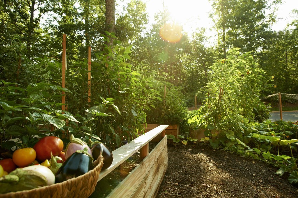 Фото Westfields Marriott Washington Dulles