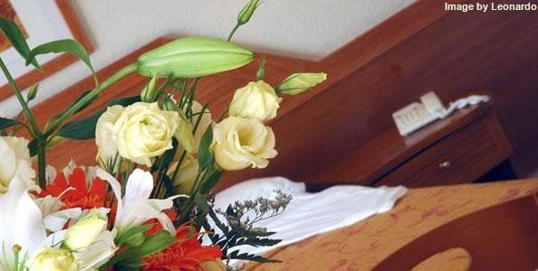 Фото Apartamentos Royal