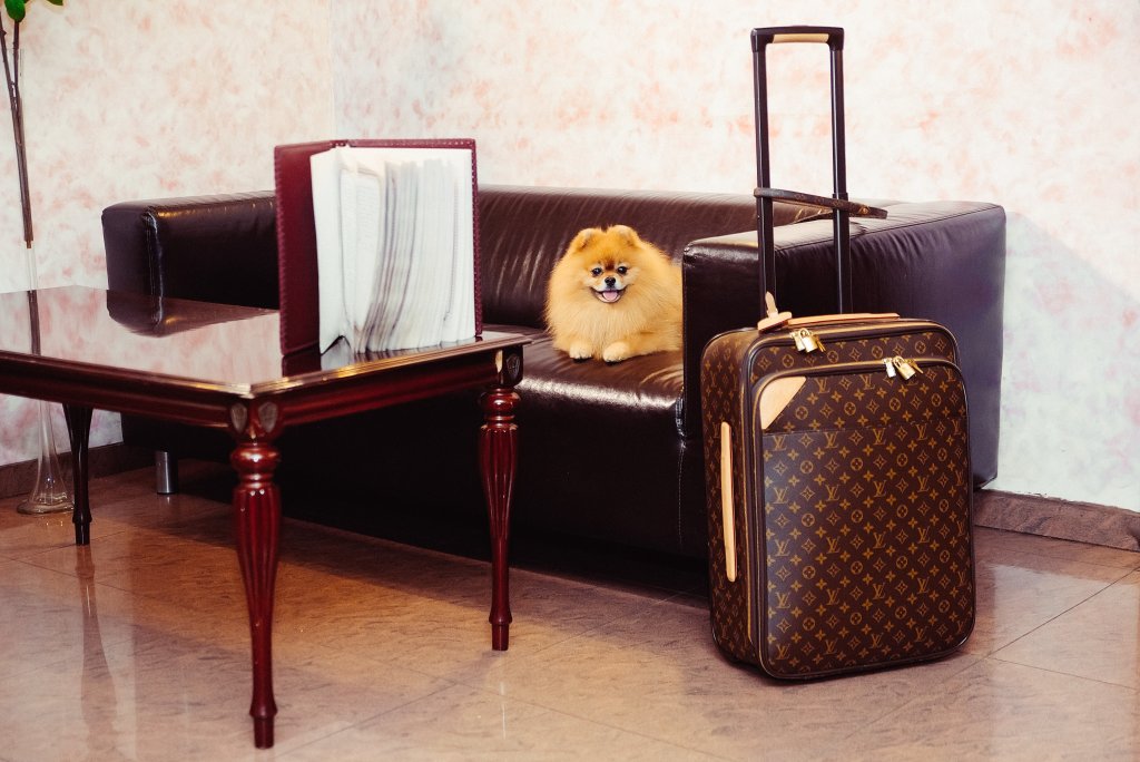 Фото АлександерПлатц