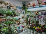 Цветы (Aleksandra Nevskogo Street, 81), flower shop