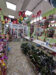 Флора (Lenina Street, 17), flower shop