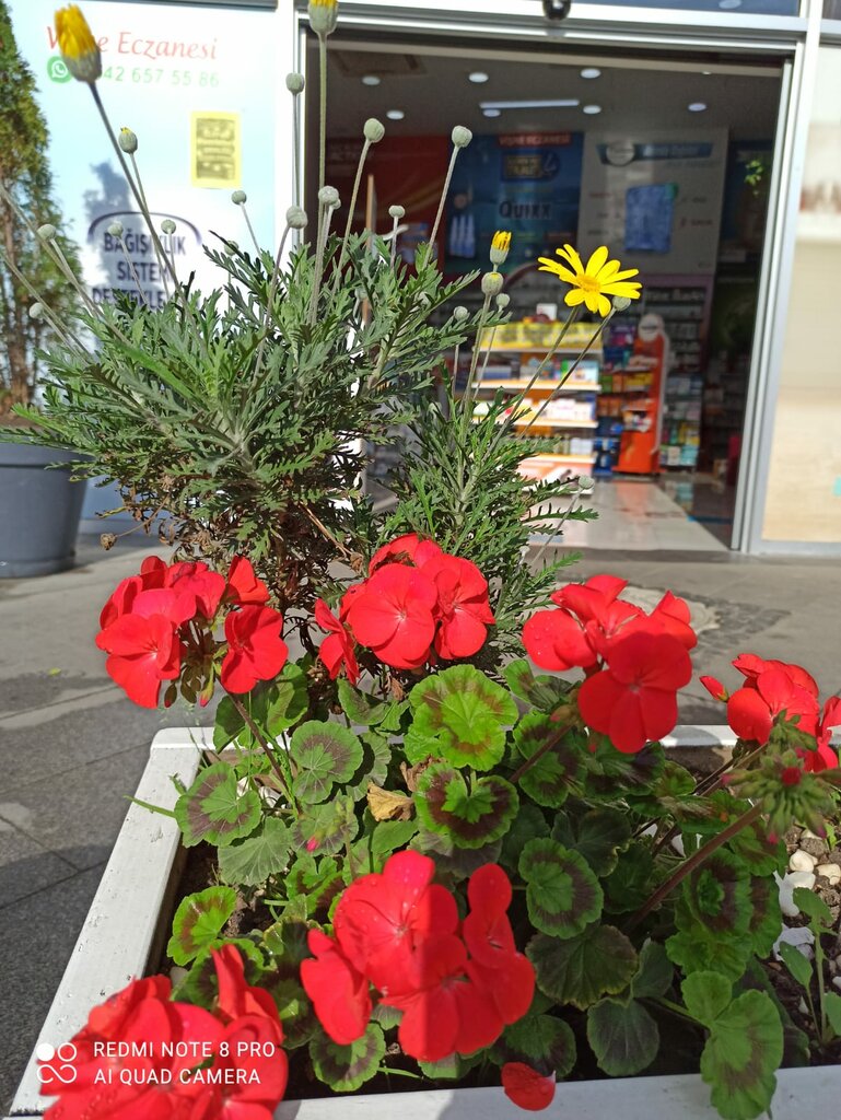 i̇laç firmaları Vişne Eczanesi, Başakşehir, foto