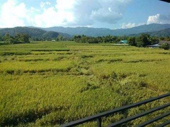 Фото Nangfa Mini Hotel