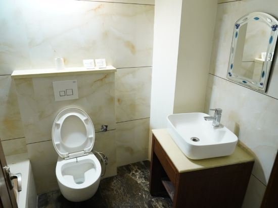 Фото Hotel Mohan Continental