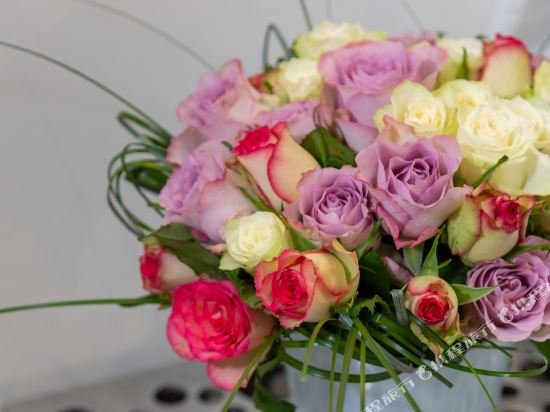 Фото Yelo Lumière by Sonder