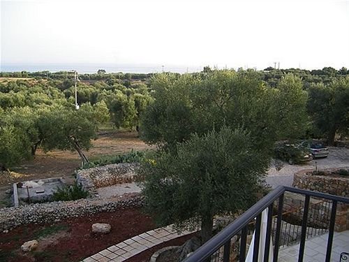 Фото Masseria Ruri Pulcra