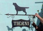 Labrador kennel Tierni (Akademika Anokhina Street, 9) ، مربي الحيوانات