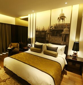 Гостиница Pride Plaza Hotel Aerocity New Delhi