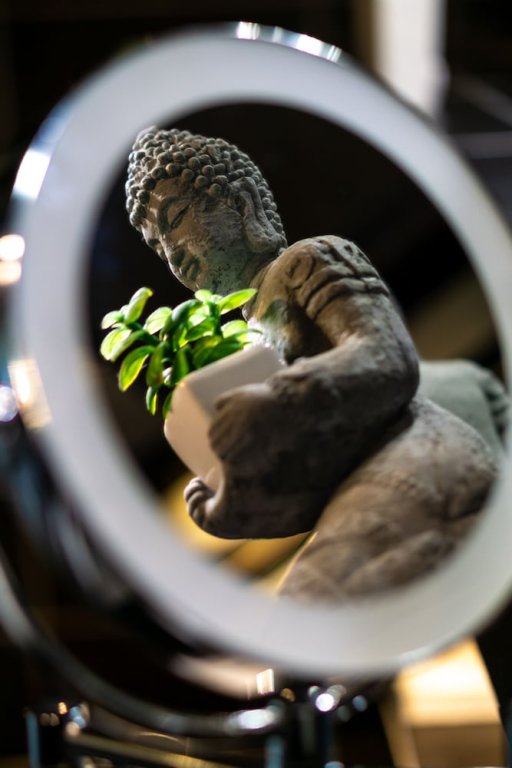 Фото SL'otel - Das StadtHotel