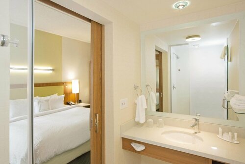 Внешний вид отеля Springhill Suites by Marriott Pittsburgh Mt. Lebanon в Горе Ливане, фото 5