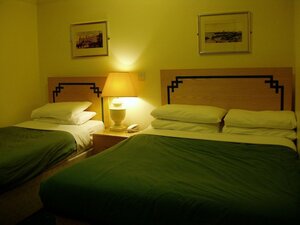 Гостиница The Hanover Hotel