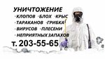 Krasnoyarsk Disinfection Service Papa Kolya (Vysotnaya Street, 2), disinfection, disinsection, deratization