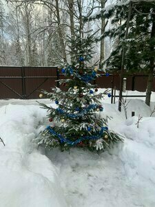 Дом в Бородино — фото 36
