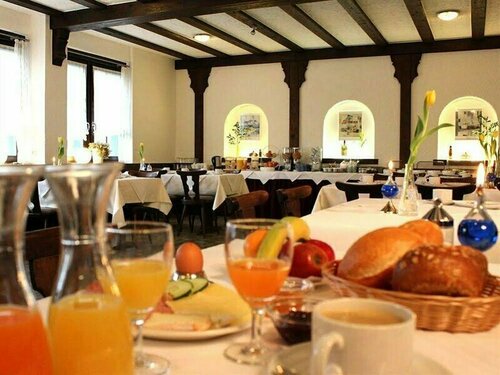 Гостиница Gasthof Hotel zum Rebstock в Эммендингене
